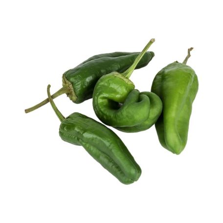 Padron paprika