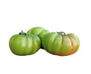 Marinda zöld/piros paradicsom