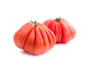 Ökörszív paradicsom