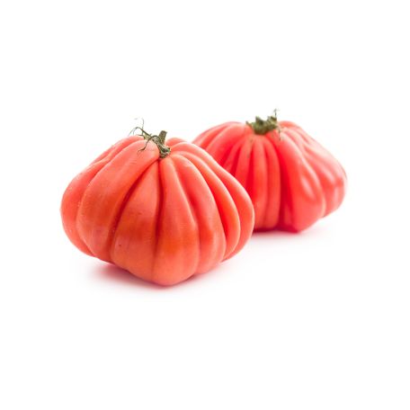 Ökörszív paradicsom