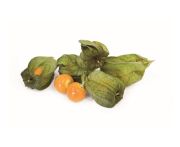 Physalis földicseresznye 100g - Kolumbia