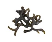 Codium blue alga 2 csomag