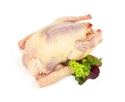 Francia fojtott galamb Impérial 500/550g, pucolt