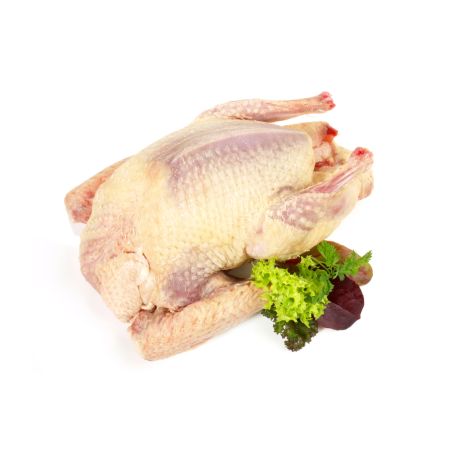 Francia fojtott galamb Impérial 500/550g, pucolt