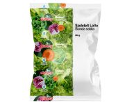 Eisberg Lollo Bionda saláta 200g