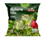 Eisberg Bolero mix saláta 140g