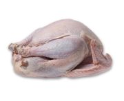 Fagyasztott egész baby pulyka 2,5-3kg