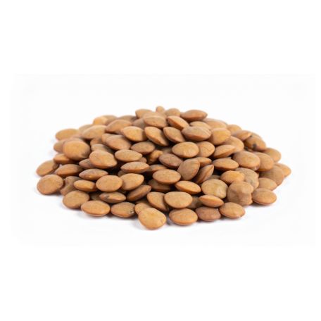 Étkezési lencse 500G