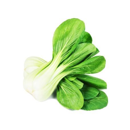Shanghai pak choy bébi