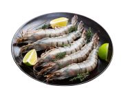 Fagyasztott fekete tigris garnéla (20% glazúrral) 8/12 800g/1000g