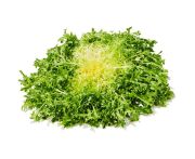 Fodros endívia frisée saláta