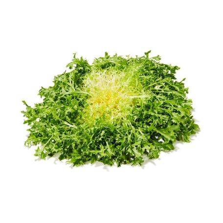 Fodros endívia frisée saláta