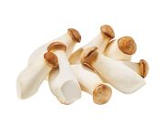 Ördögszekér gomba mini