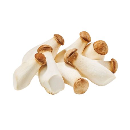 Ördögszekér gomba mini