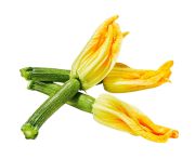Cukkini virágok 15db 900g
