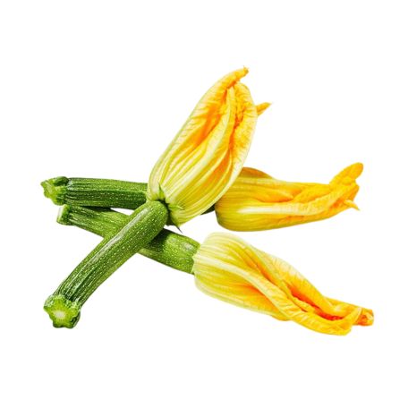Cukkini virágok 15db 900g