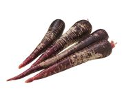 Lila sárgarépa "Deep purple" 5kg