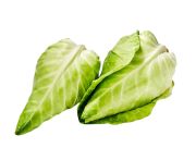 Hegyesfejű káposzta 5kg