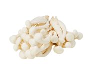 Shimeji gomba fehér (bükkgomba) 10 tálca * 150g