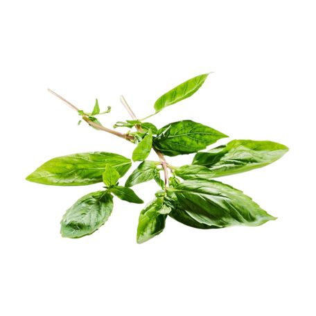 Thai bazsalikom 100g