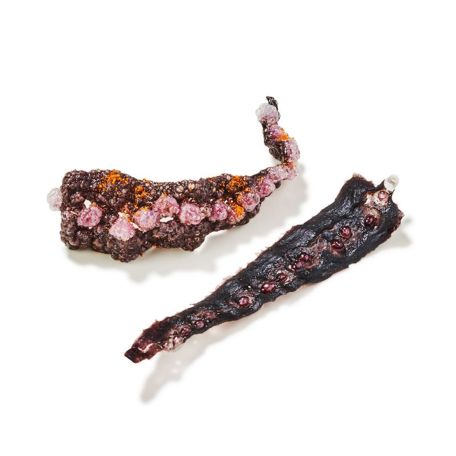 Tasty-Bites Polip-kimchi snack 215 db 160g