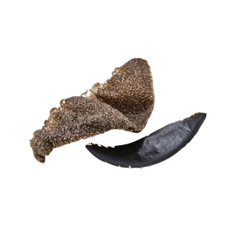 Tintahalas sós-fűszeres snack 48db 170g