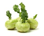 Karalábé