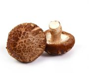 Shiitake gomba